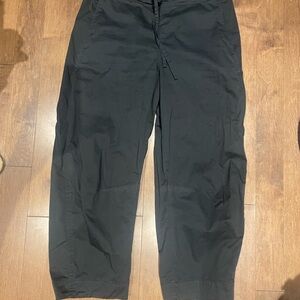 Everlane Easy Barrel Pants